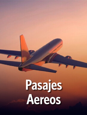 Salidas Individuales